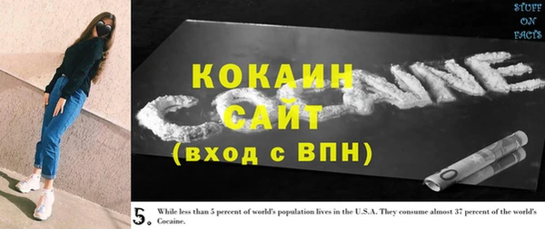 первитин Новодвинск